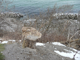 stranden og træstubben